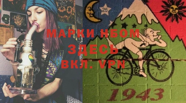 ПСИЛОЦИБИНОВЫЕ ГРИБЫ Балахна