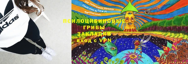 тгк Баксан