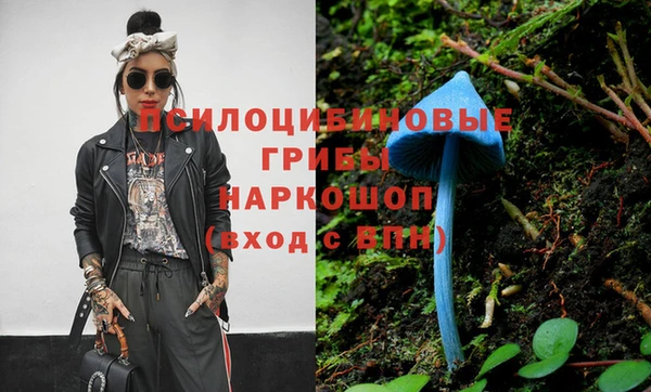 ПСИЛОЦИБИНОВЫЕ ГРИБЫ Балахна