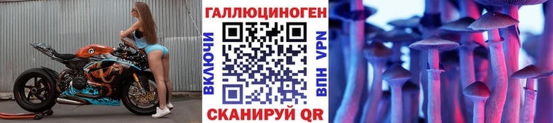 купить   Поворино  Галлюциногенные грибы Cubensis 